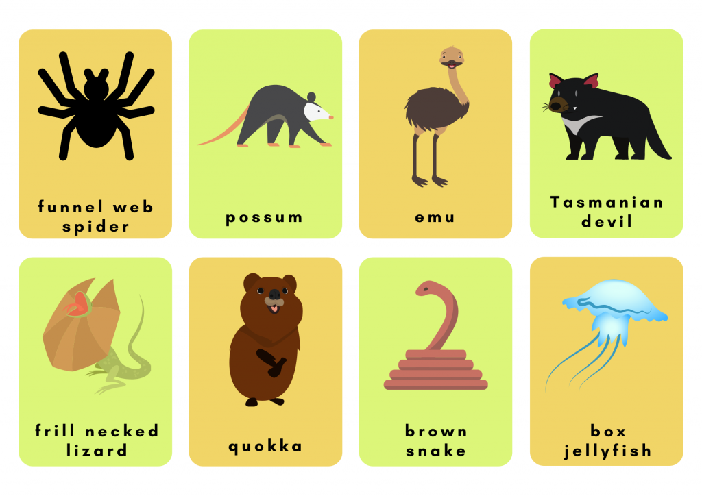 Animals (13): funnel web spiders, possums, emus, Tasmanian devils, frill-necked lizards, quokkas, brown snakes, and box jellyfish