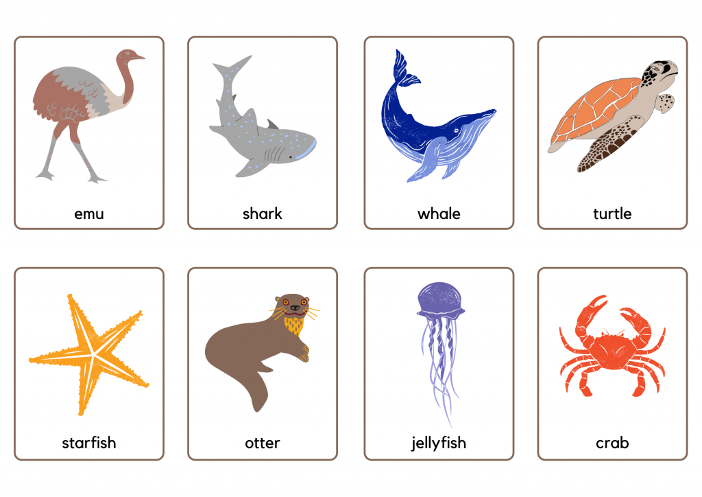 Animals (7): the emu, shark, whale, turtle, starfish, otter, jellyfish, and crab.