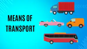 Means of transport (1): Trucks, vans, convertibles, and coaches.