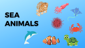 Sea Animals (1): Squid, Lionfish, Manta Ray, Sea Urchin, Crab, Turtle, Clownfish, and Dolphin