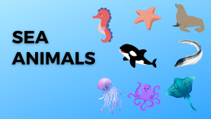 Sea Animals (2): Sea lions, Starfish, Eels, Orca, Stingrays, Octopuses, Jellyfish, and Seahorses.
