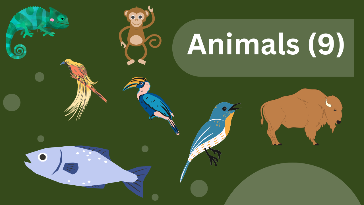 Animals (9) - ENGLISH4ALL