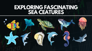 Exploring Fascinating Sea Creatures