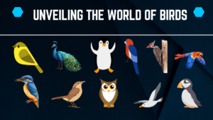 Unveiling The World Of Birds