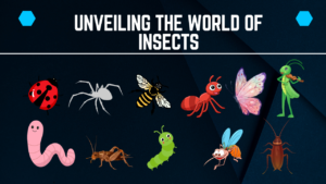 Unveiling The World Of Insects