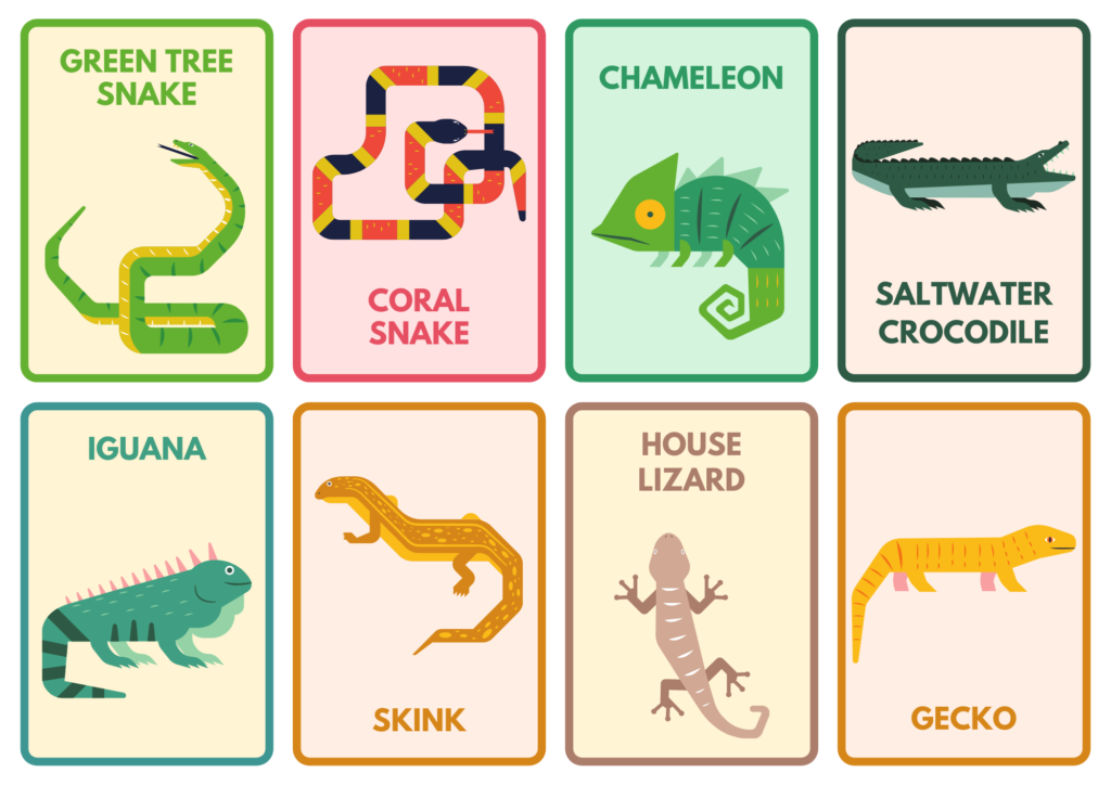 Animals (2): green trees snakes, coral snakes, chameleons, saltwater crocodiles, iguanas, skinks, house lizards, and geckos.