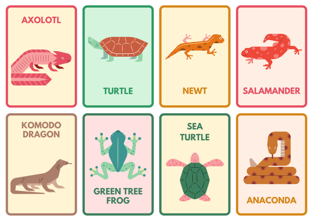 Animals (3): axolotls, turtles, newts, salamanders, komodo dragons, green tree frogs, sea turtles, and anacondas.