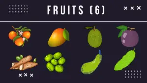 Fruits (6)